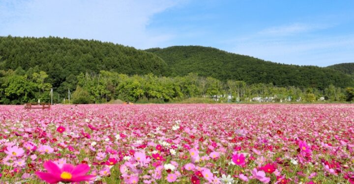 北海道 ツーリング つまらない