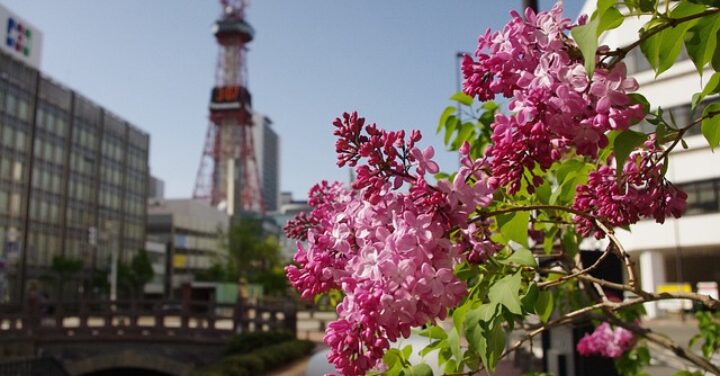 北海道移住 やめとけ