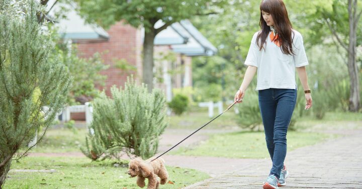  九州のペットと泊まれる安い宿