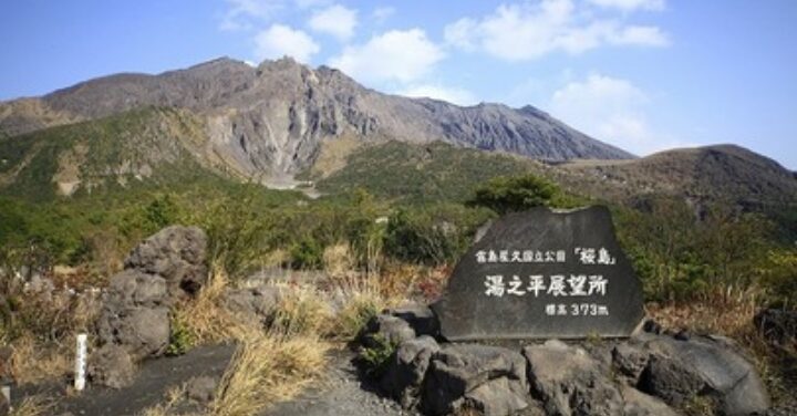 桜島フェリー 車料金