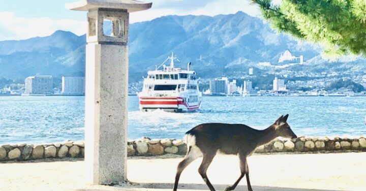 厳島神社 お守り 人気
