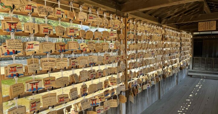 厳島神社 お守り 人気
