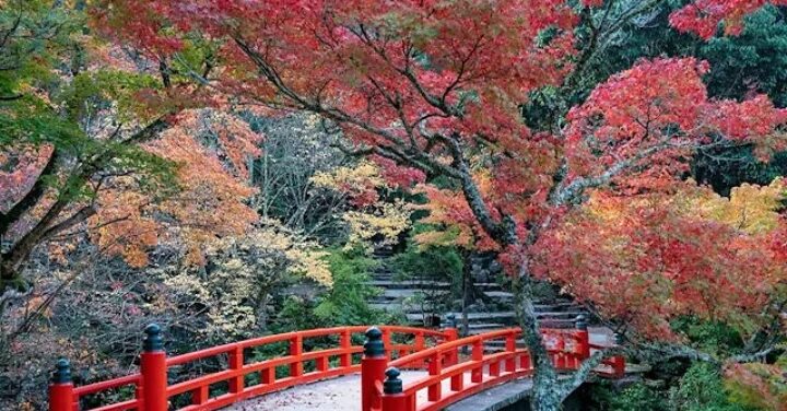 厳島神社 入場料