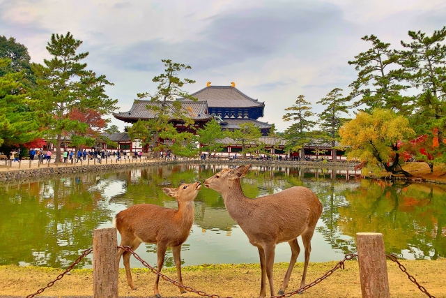 東大寺 誰が建てた
