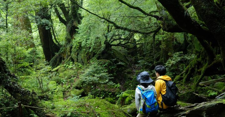 屋久島 何県