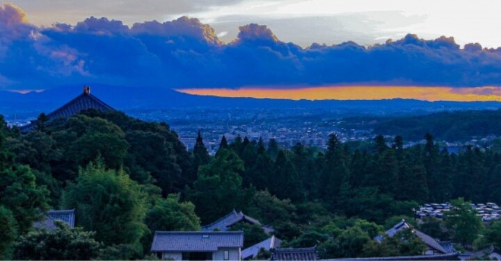 東大寺 大仏の重さ高さ
