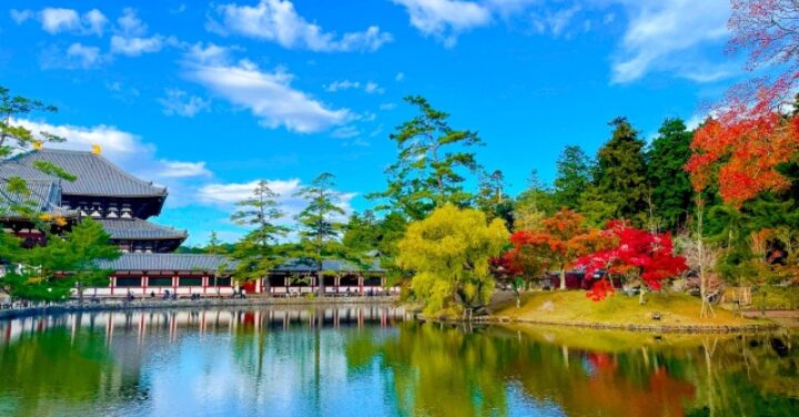 東大寺 大仏の重さ高さ
